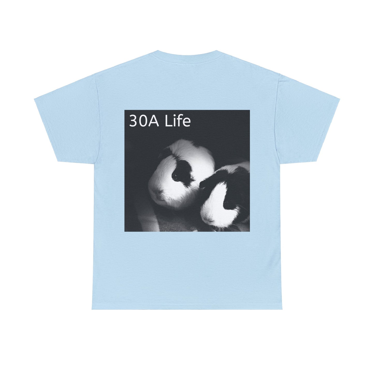 Beach Life Guinea Pig 30A