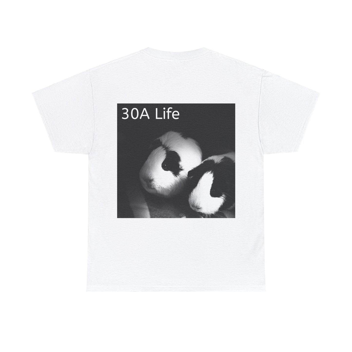 Beach Life Guinea Pig 30A